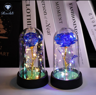 LED Galaxy Rose Lamp Glass Cover Birthday Gift for Girlfriend Mother's Day Valentine's Day