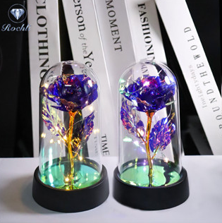 LED Galaxy Rose Lamp Glass Cover Birthday Gift for Girlfriend Mother's Day Valentine's Day