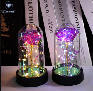 LED Galaxy Rose Lamp Glass Cover Birthday Gift for Girlfriend Mother's Day Valentine's Day