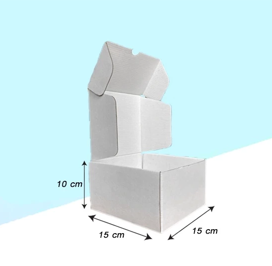 White Corrugated Mailer Box (ON HAND)