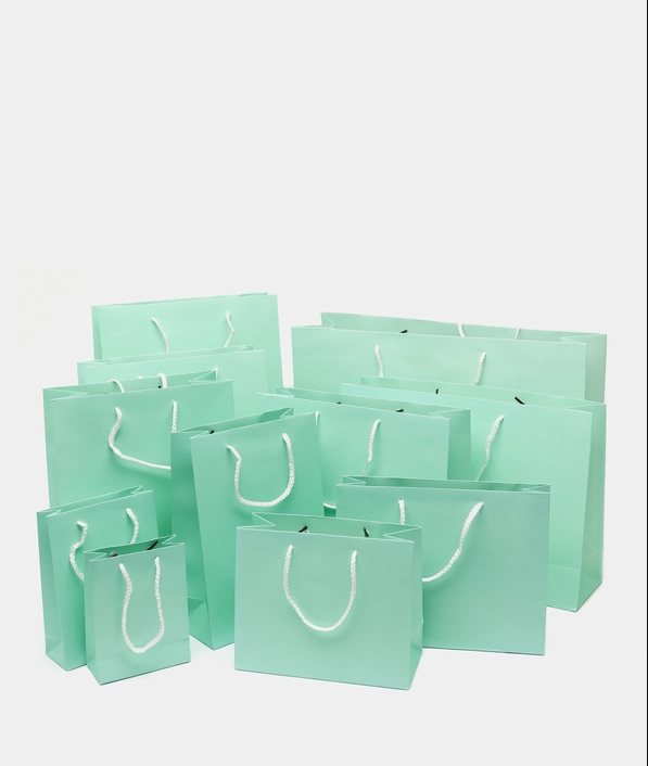 MINT GREEN 1PC Gift Bag with Handles Craft Package Paper Gift Box Jewelry Birthday Packing