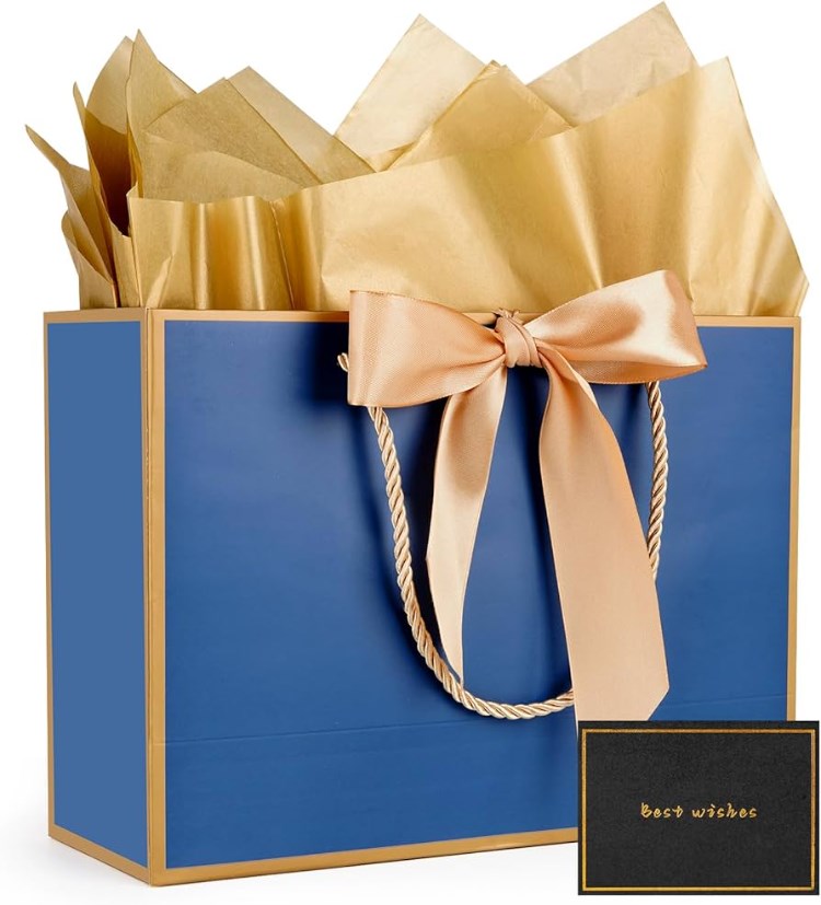 5pcs Luxury Gift Bag with Ribbon Handle | Premium Gift Packaging Box Bag for Gifts, Souvenirs, Party favors
