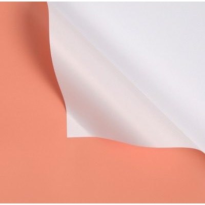 20pcs | Two-color Flower Paper Bouquet Wrapping Paper Wrapped Flower Paper