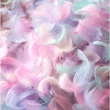 (100pcs) Feather Home Crafts Goose Transparent Bobo Ball Filler Natural