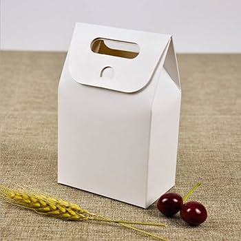 Plain Kraft paper bag with punch hole handle gift packaging takeout box