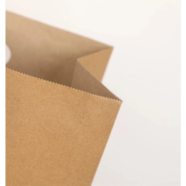 1pc | 120gsm Kraft Brown Punch Hole Takeout Paper Bag with Handle