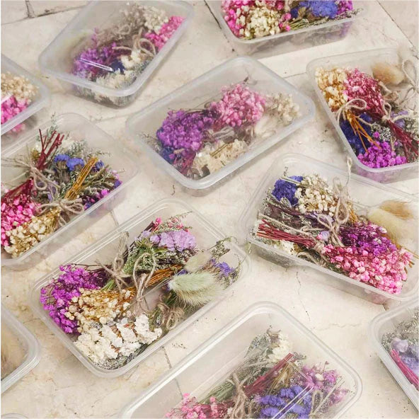 7 IN 1 Preserved Real Dried Flowers in a Tub (Random Flowers) Gift Wedding Party