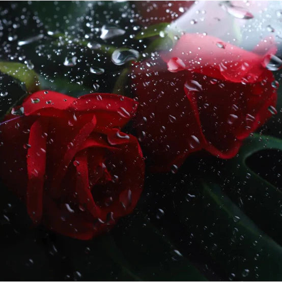 Transparent Glass Roll Flower Bouquet Wrapper waterproof plastic paper