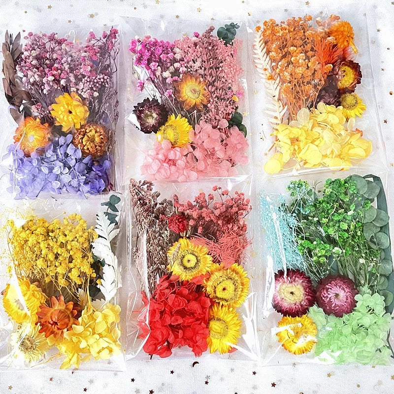 1Pack Dried flower Material Bag painting diy greeting cards real bouquet natural jarrones