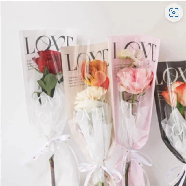 PVC/ Plastic Transparent Bag / Transparent Tote handbag gift Clear bag gift packaging bag