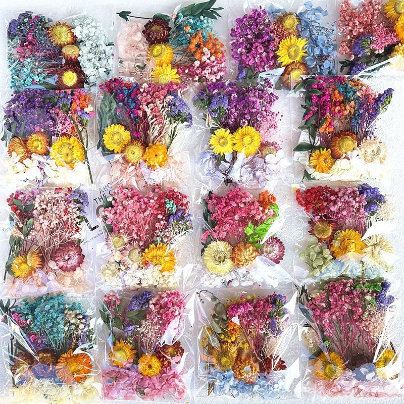 1Pack Dried flower Material Bag painting diy greeting cards real bouquet natural jarrones