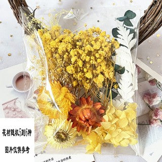 1Pack Dried flower Material Bag painting diy greeting cards real bouquet natural jarrones
