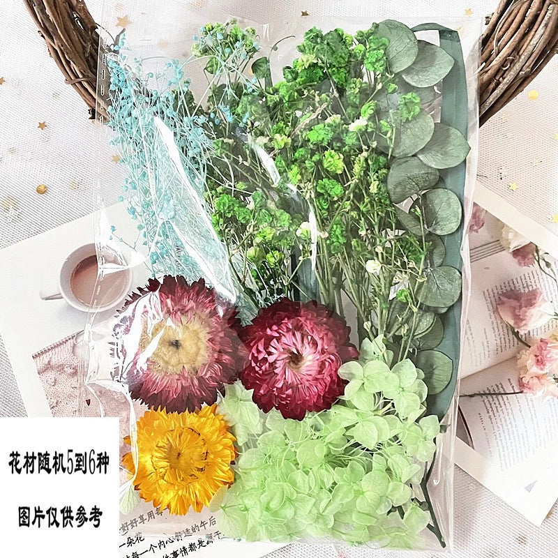 1Pack Dried flower Material Bag painting diy greeting cards real bouquet natural jarrones