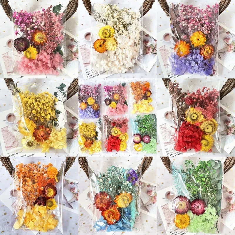 1Pack Dried flower Material Bag painting diy greeting cards real bouquet natural jarrones