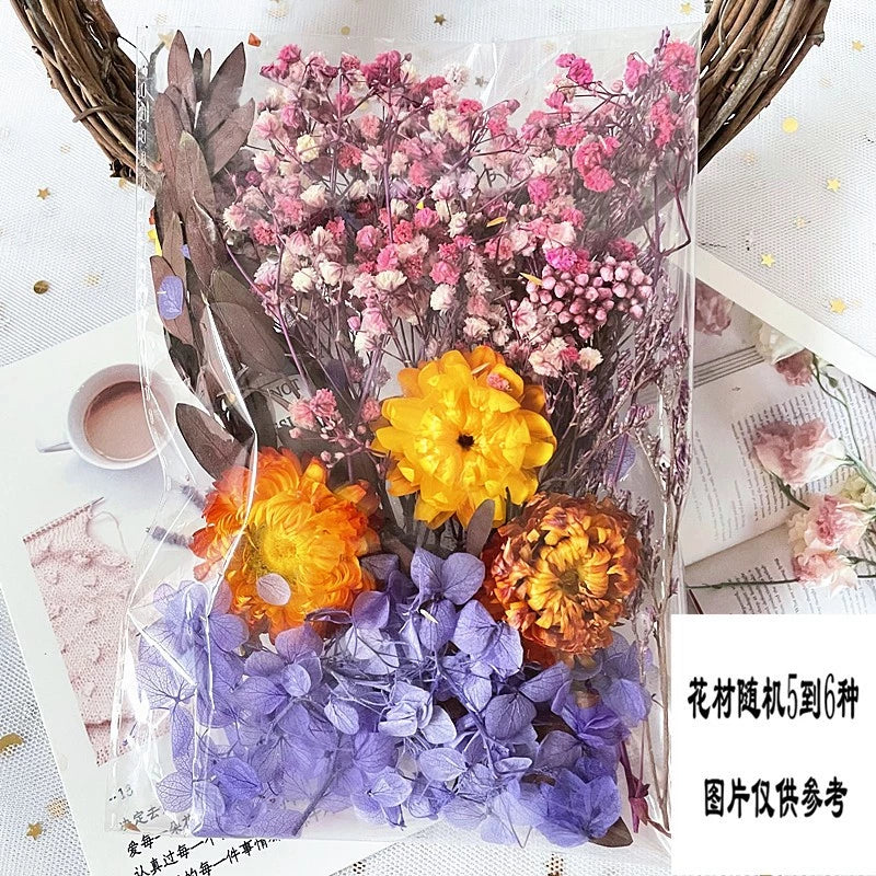 1Pack Dried flower Material Bag painting diy greeting cards real bouquet natural jarrones