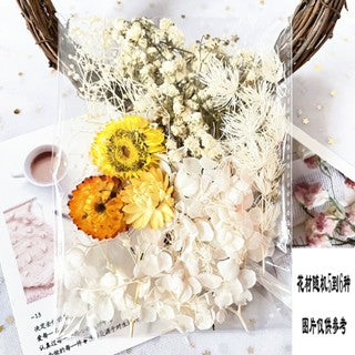 1Pack Dried flower Material Bag painting diy greeting cards real bouquet natural jarrones