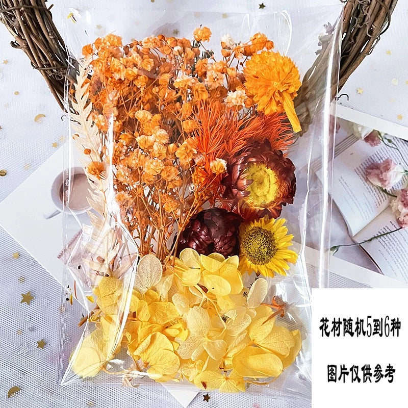 1Pack Dried flower Material Bag painting diy greeting cards real bouquet natural jarrones