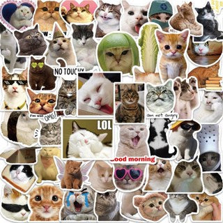 100pcs Cute Cat & Dog Stickers - Series Realistic Animal Decor for Water Bottles,Laptops,Phones ect