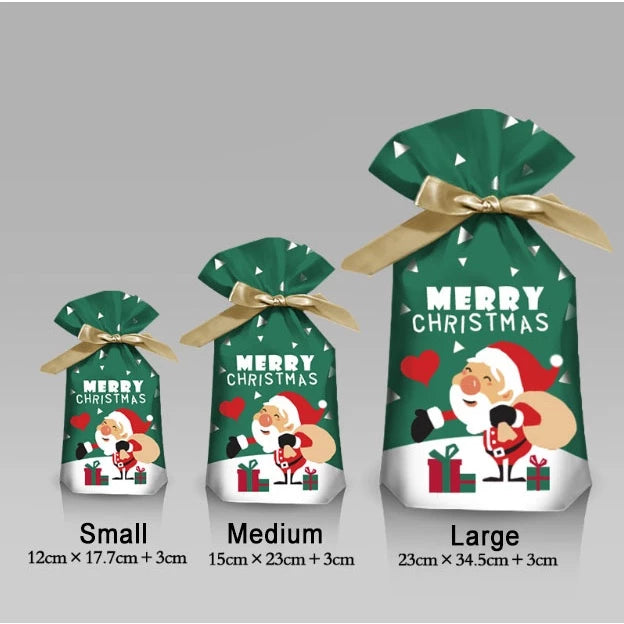 10Pcs | Christmas Gift LOOT BAGS Candy Bag Snowflake Crisp Drawstring Bag