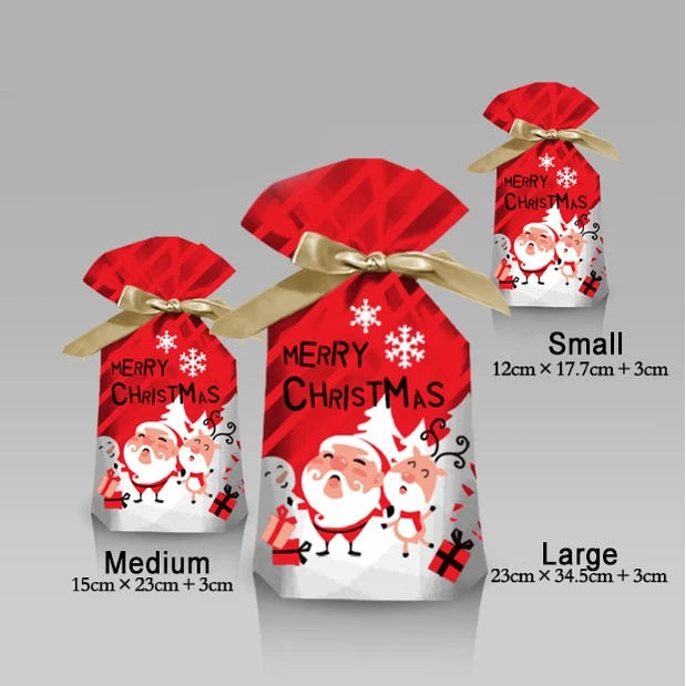 10Pcs | Christmas Gift LOOT BAGS Candy Bag Snowflake Crisp Drawstring Bag