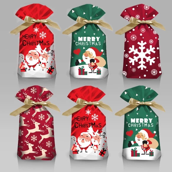 10Pcs | Christmas Gift LOOT BAGS Candy Bag Snowflake Crisp Drawstring Bag